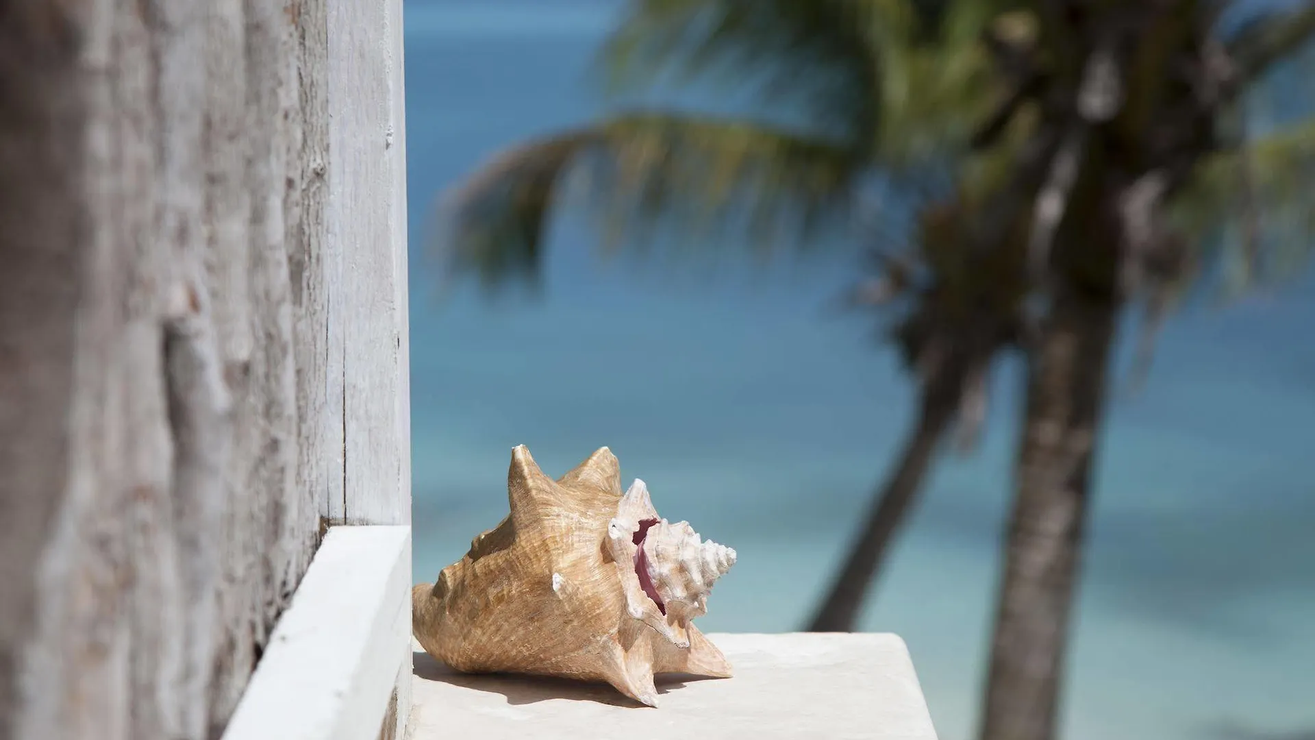 Cocobay Resort Antigua (Adults Only) Johnson's Point