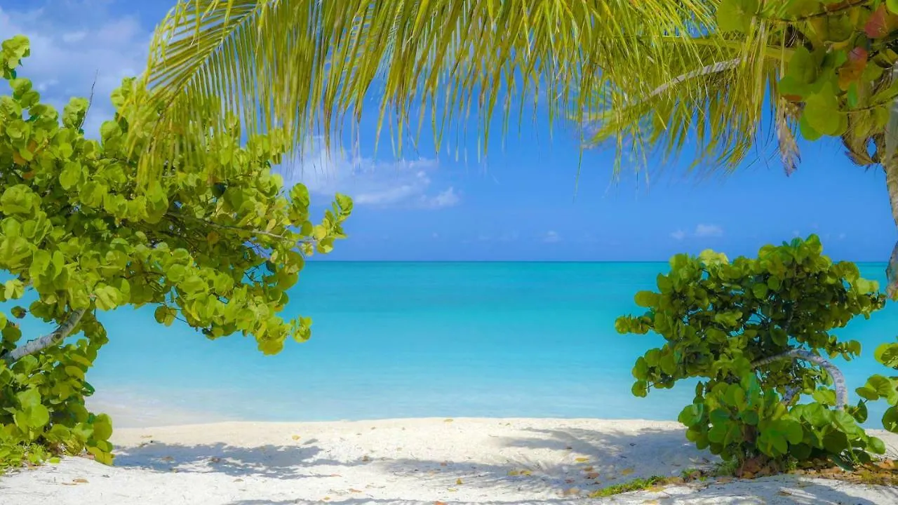 Cocobay Resort Antigua (Adults Only) Johnson's Point
